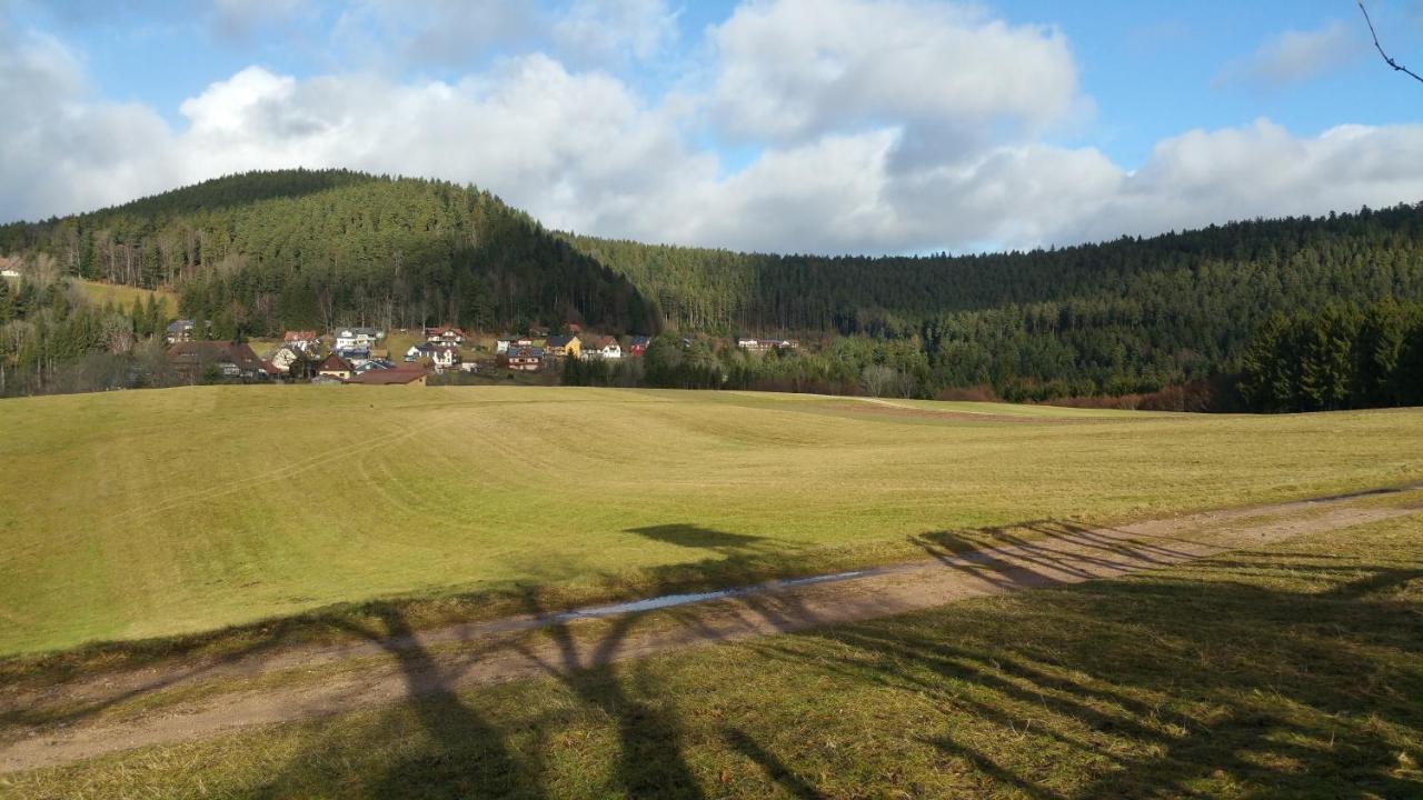 Oeko-Landhotel Basler Hof ラウターバッハ エクステリア 写真
